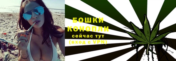 мдпв Волосово