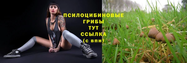 мдпв Волосово