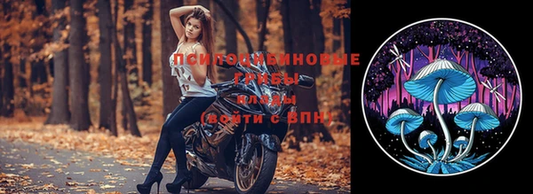 эйфоретик Волоколамск