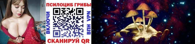 Галлюциногенные грибы мухоморы  купить наркотики цена  гидра ССЫЛКА  Первоуральск 